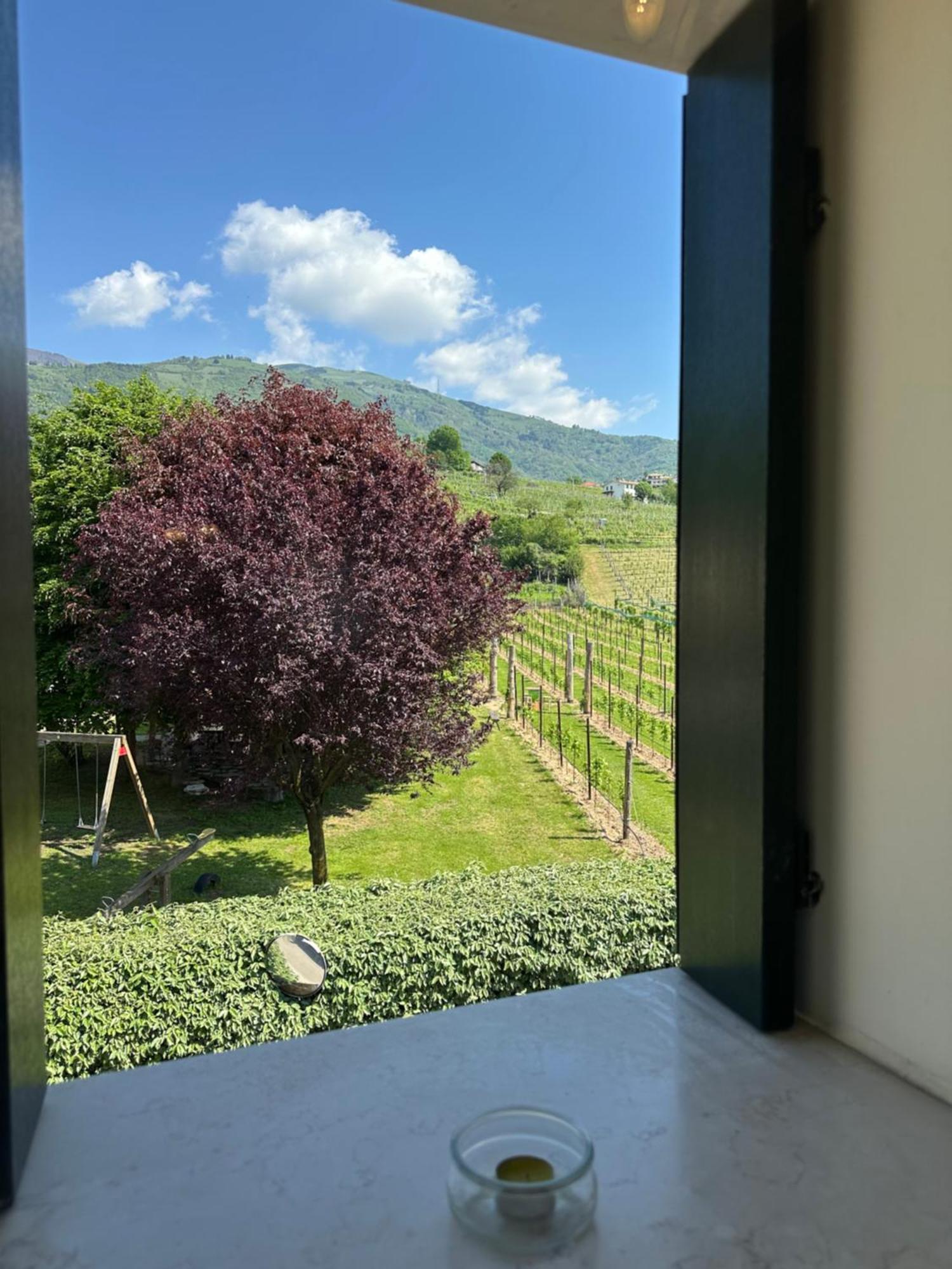 Casa Vacanze Ricca Vigna Valdobbiadene Kültér fotó