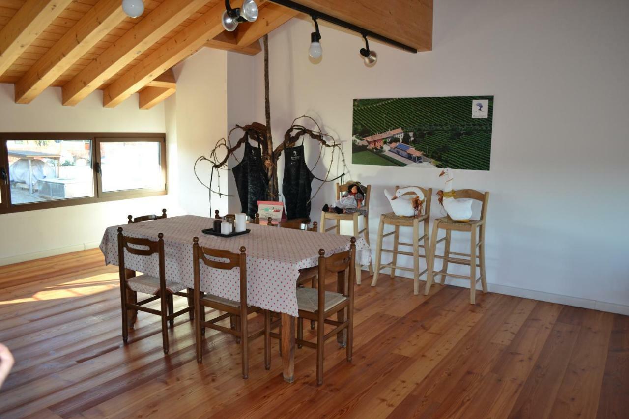 Casa Vacanze Ricca Vigna Valdobbiadene Kültér fotó