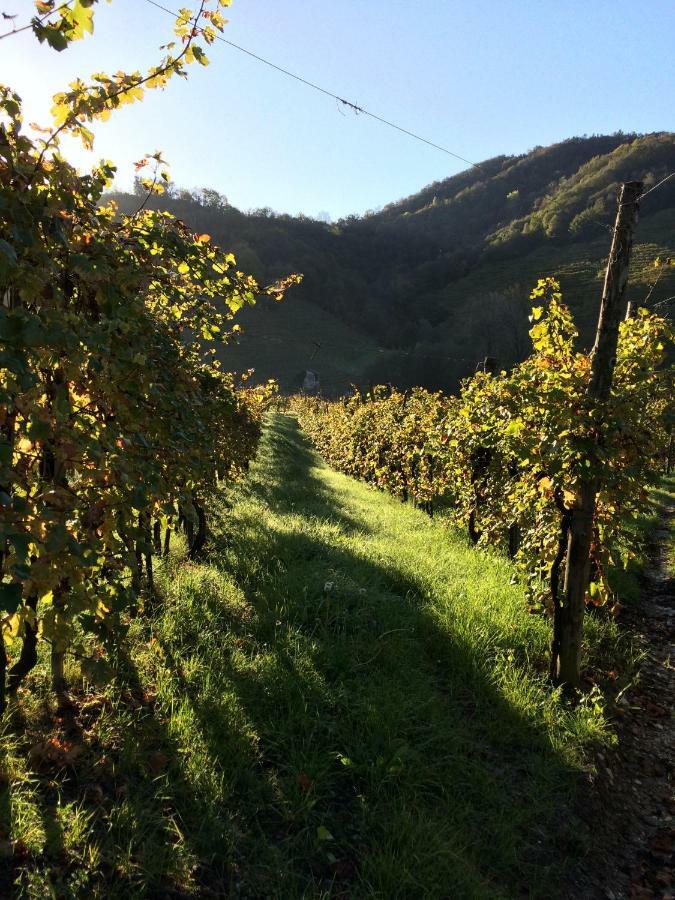 Casa Vacanze Ricca Vigna Valdobbiadene Kültér fotó